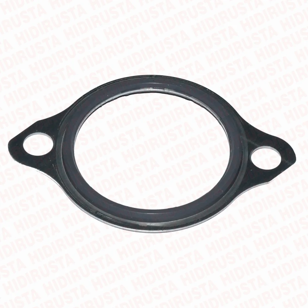 Thermostat Gasket
