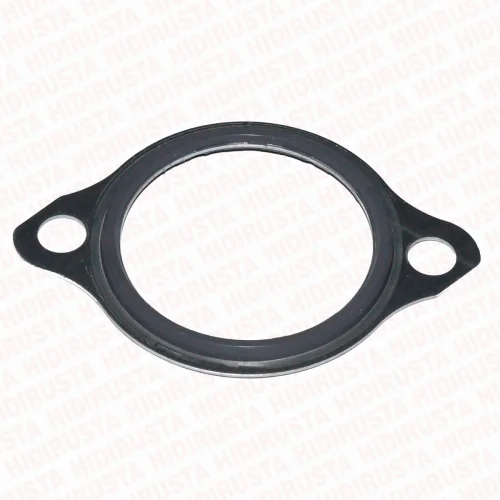 Thermostat Gasket