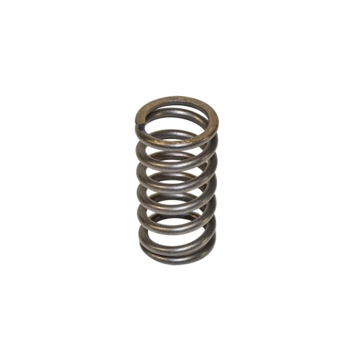 Valve Spring