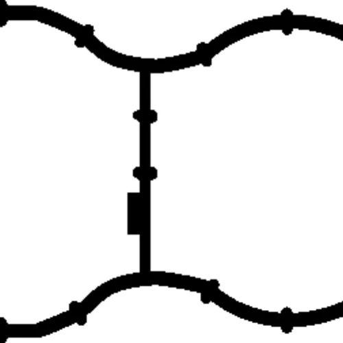 Seal Ring