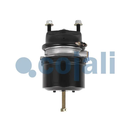 Air Spring
