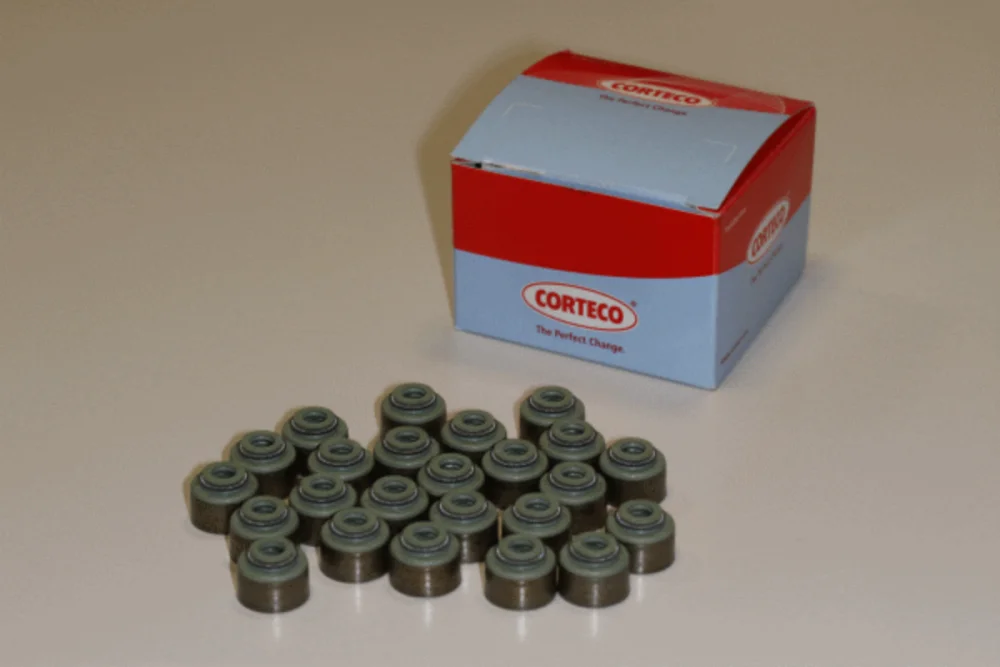 Valve Stem Seal Kit