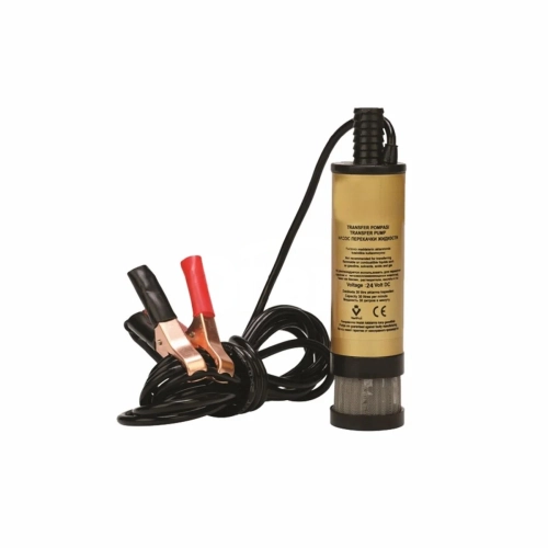 Fuel Transfer Pump with Filter, 24V