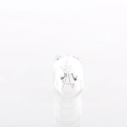 Bulb
