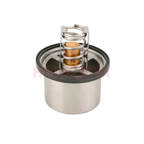Termostat Volvo 79°