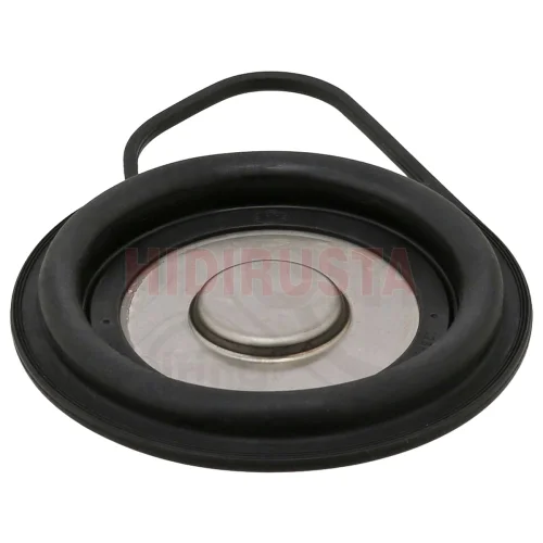 Gasket