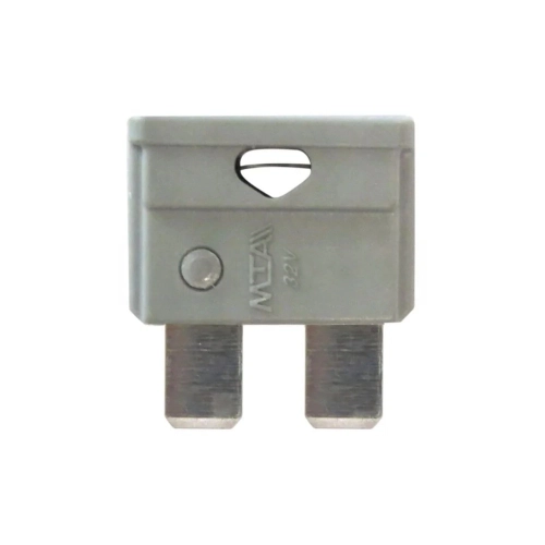 Standard Blade Fuse 2A