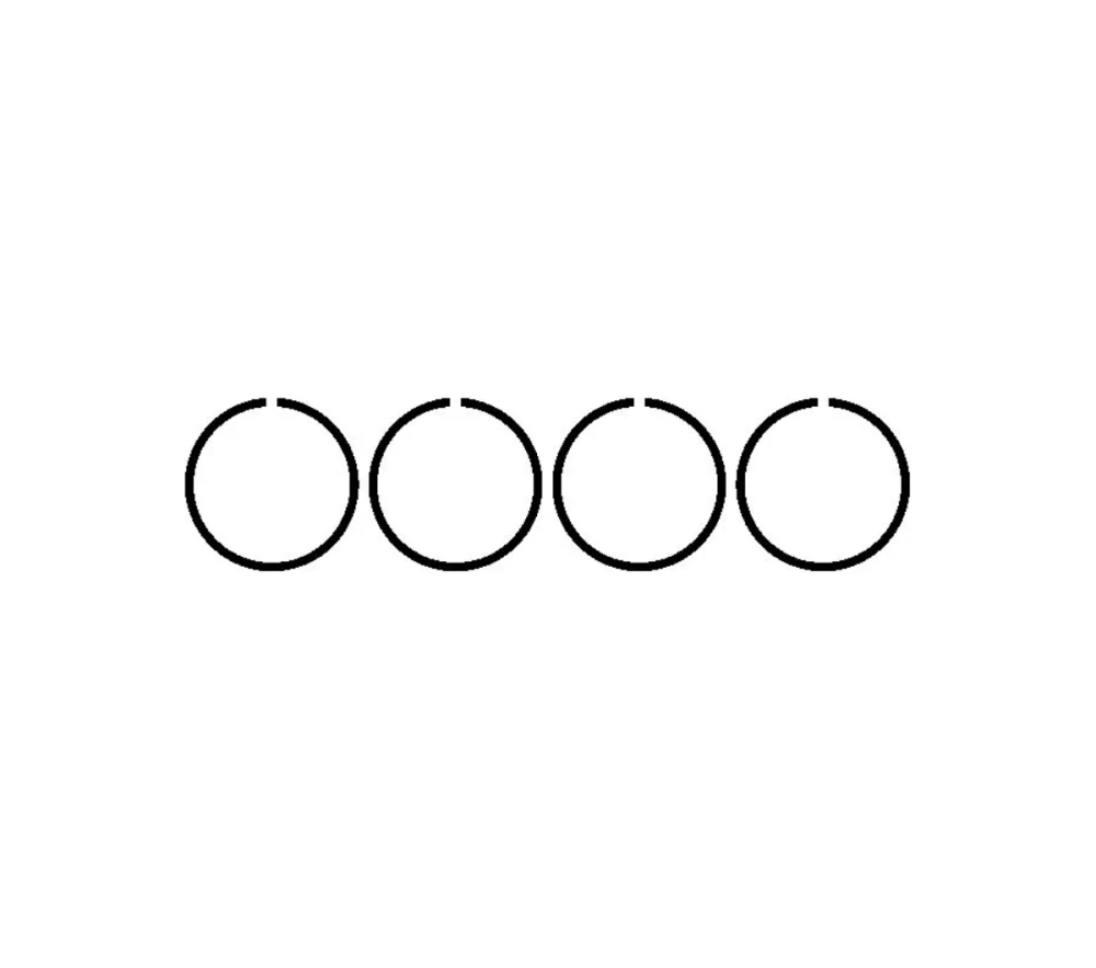 Piston Ring Exhaust manifold Commonrail ( set for 1  vehicle )