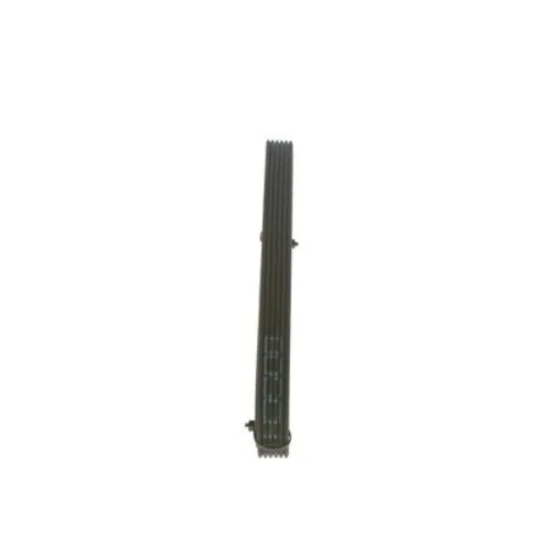 V-Ribbed Belt (Belt Drive)