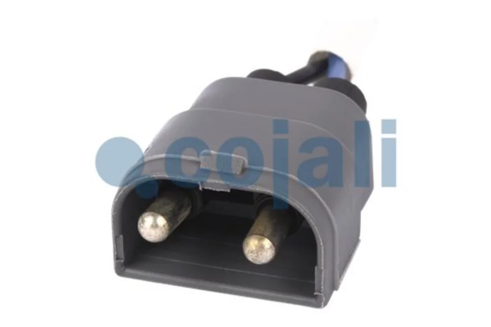 Sensor