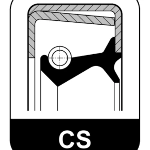 Oil Seal