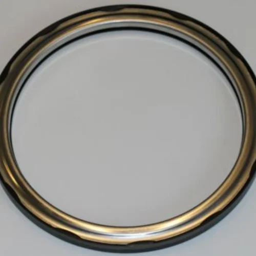 Oil Seal
