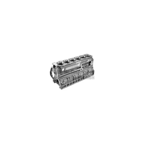 Motor Bloğu D2866