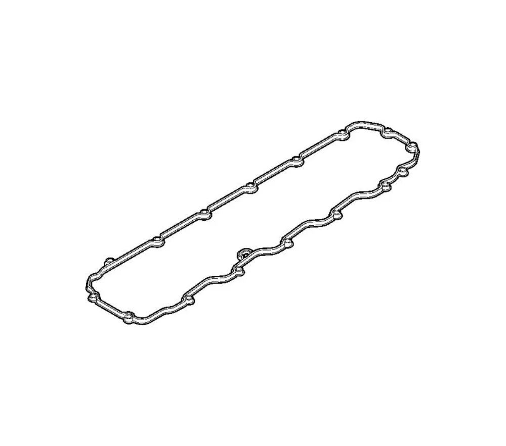 Valve Cover gasket   XF105