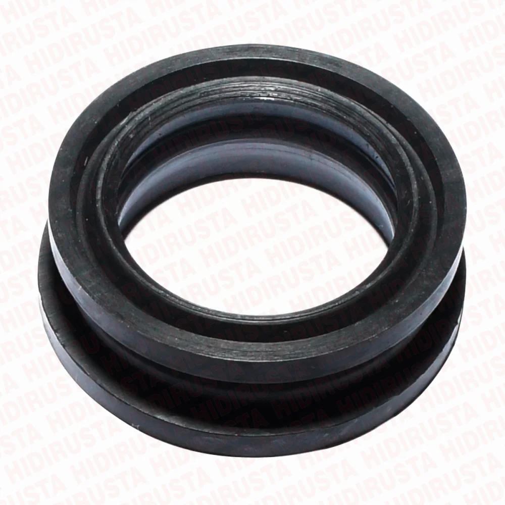 Oil Seal