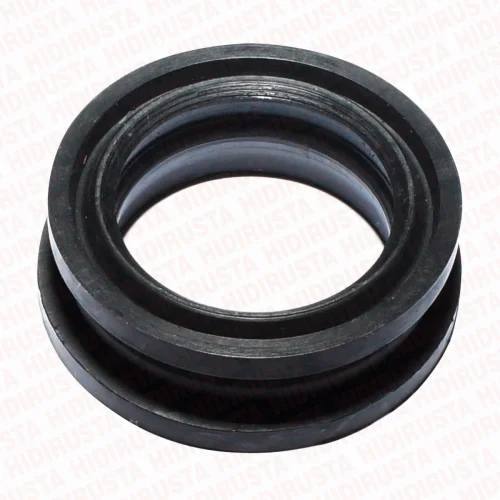 Oil Seal