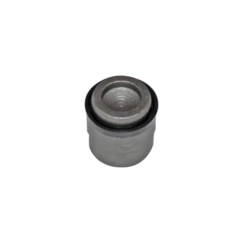 Roller Piston