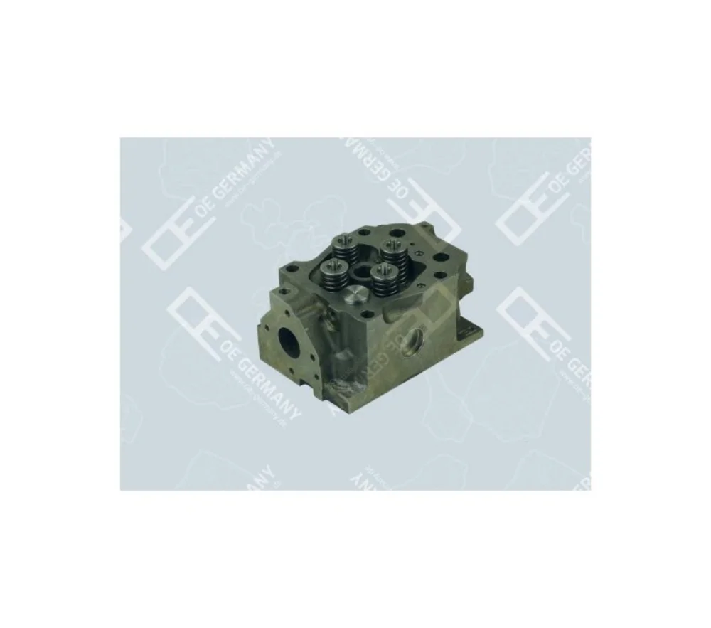 Cyl. Head With Valves