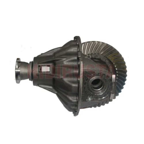 DIFFERENTIAL CASE