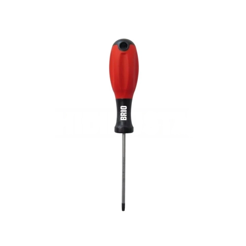 Torx Screwdriver T15