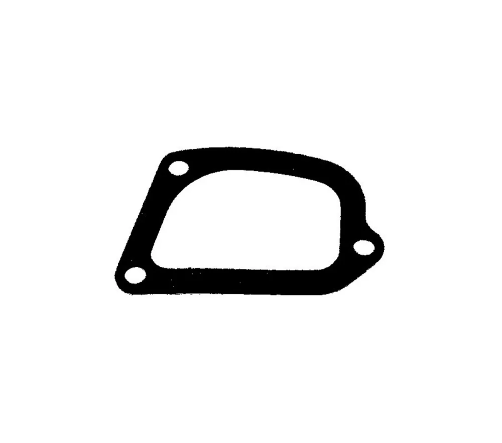 Gasket, timing case cover (Engine Timing)