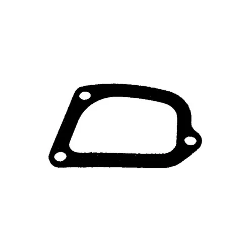 Gasket, timing case cover (Engine Timing)