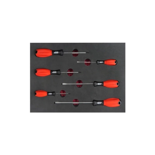 6 Piece Screwdriver Set With Foam inlet