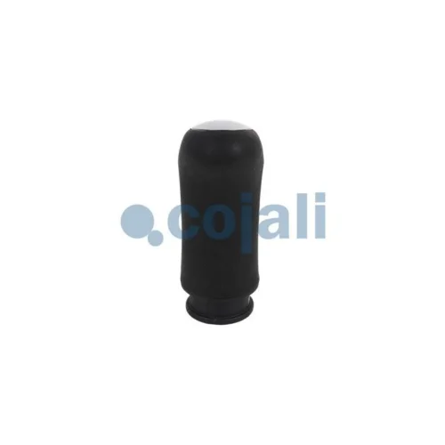Gear Knob