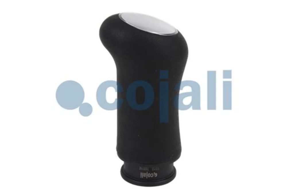 Gear Knob