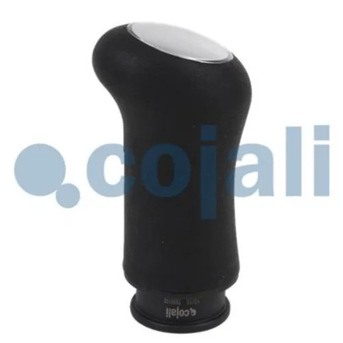 Gear Knob