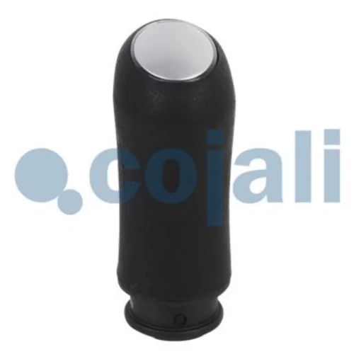 Gear Knob