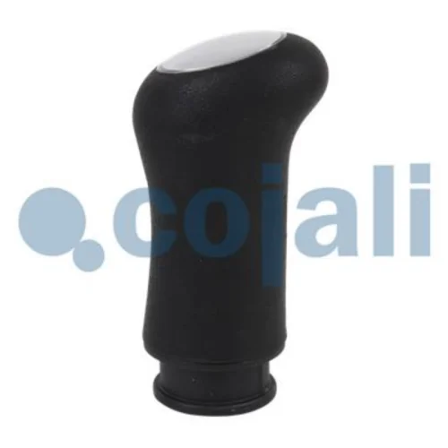 Gear Knob