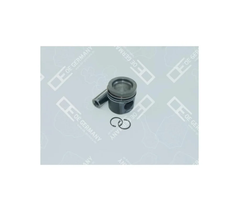 Piston Segman 102.00Mm 906, 904 Euro 3  (Std)