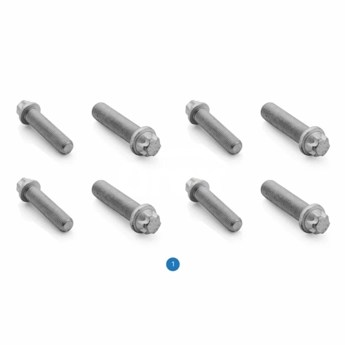 Duco Caliper Cover Bolt Meritor