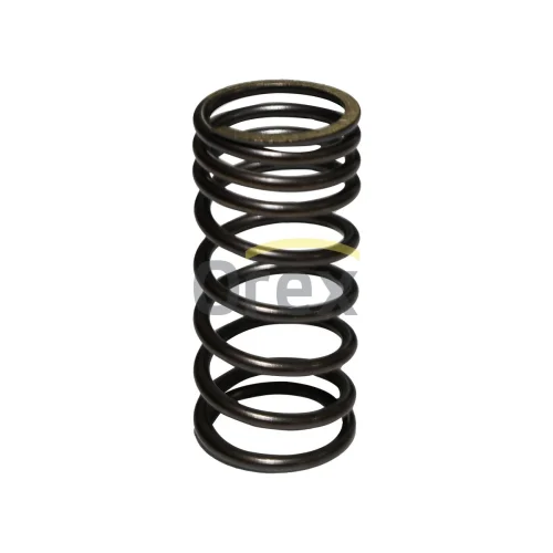 Valve Spring