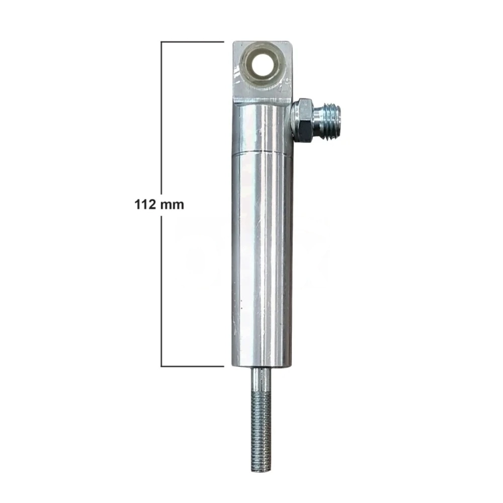 Suspension Strut, Pneumatic Suspension