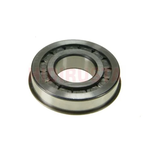 Pinion Dip Bearing (Brain) R770