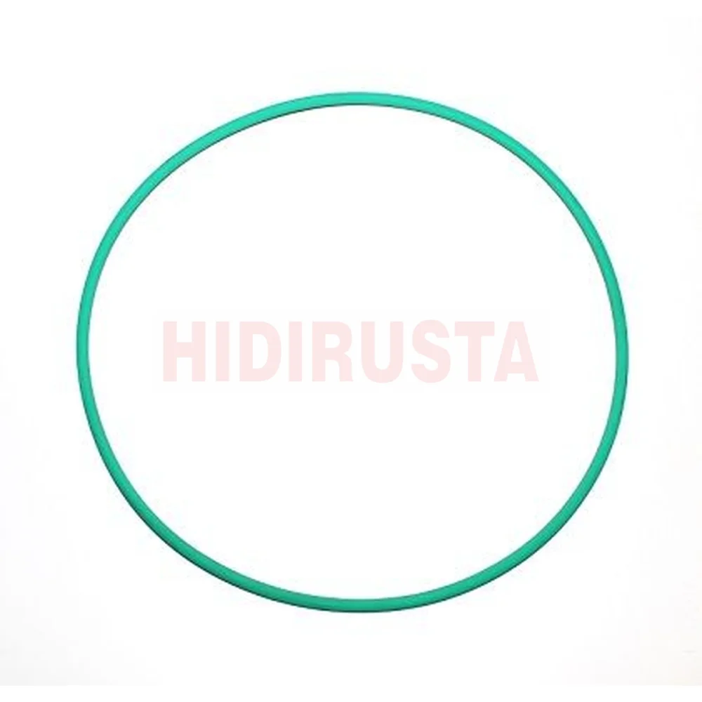Seal Ring (Standard Parts)