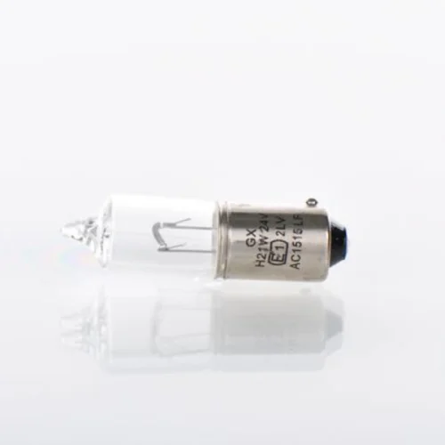 Bulb