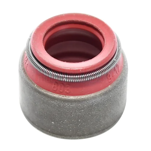 Valve Seal