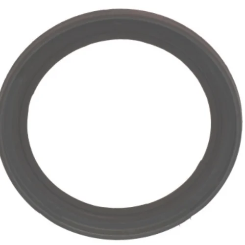 Input Shaft Bristle Seal 79x105x7