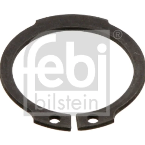 Circlip, brake anchor pin (Braking System)