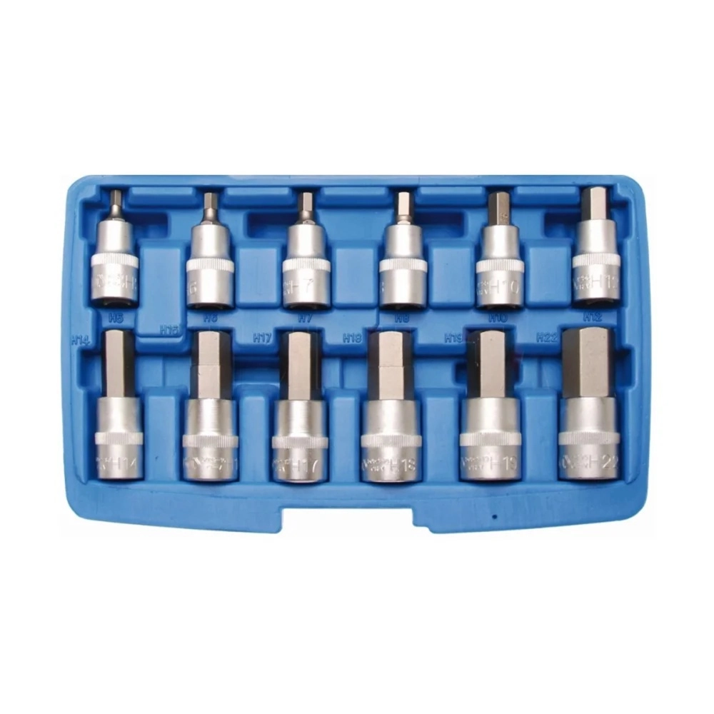 Socket Set Allen 1/2 5-22 Mm 12 Pcs