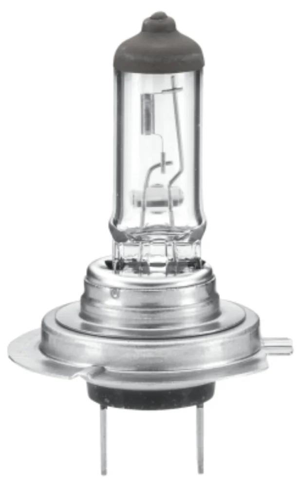 Bulb
