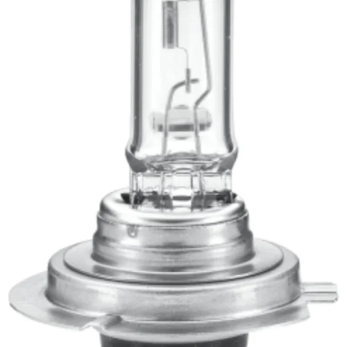 Bulb