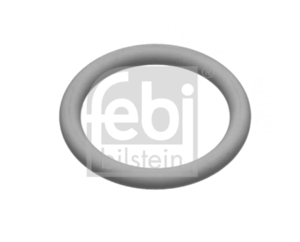 Seal Ring (Standard Parts)