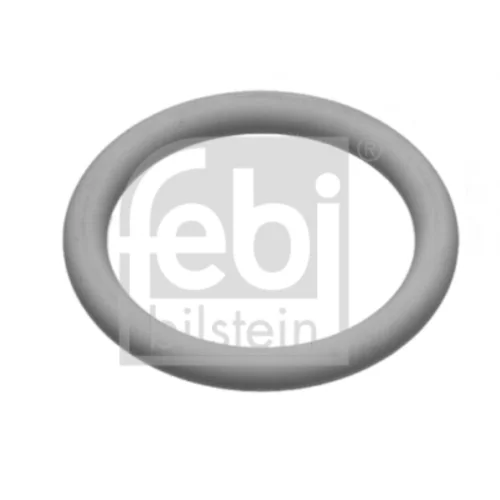 Seal Ring (Standard Parts)