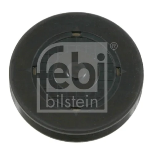 Covering plug