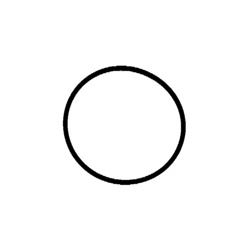Gasket Diesel Filter
