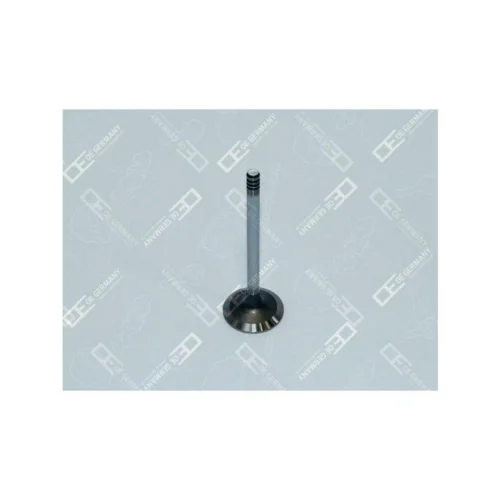 Inlet Valve